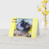 De nieuwe Kaart van het Baby (Gele Bloem)