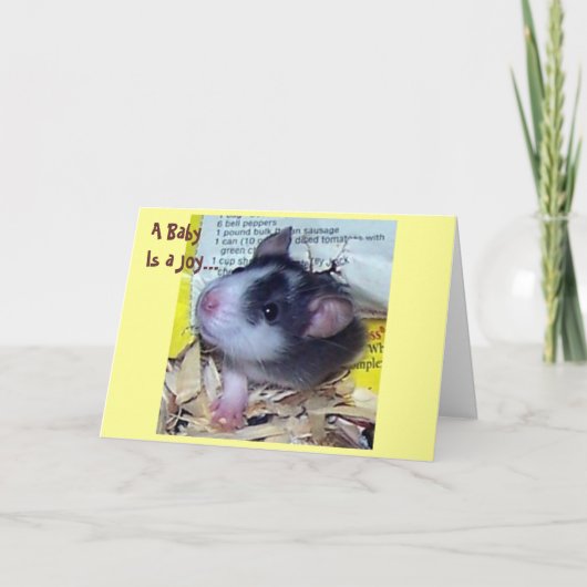 De nieuwe Kaart van het Baby (Voorkant)