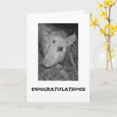 De nieuwe Kaart van het Huis (Gele Bloem)