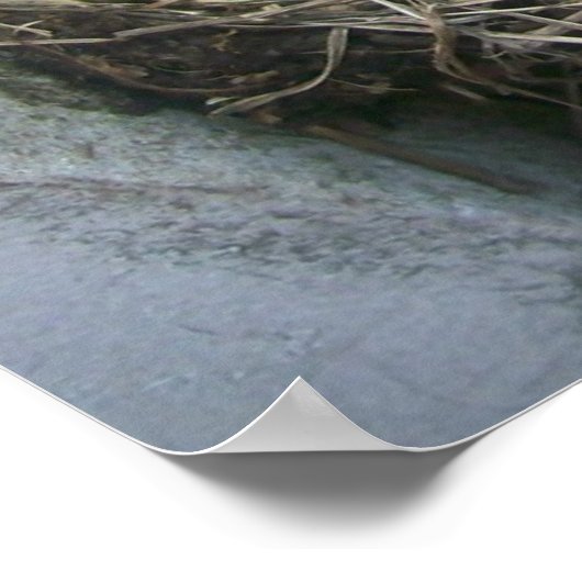 De nieuwe komst van de lente poster (Hoek)