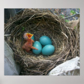 De nieuwe komst van de lente poster (Voorkant)