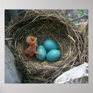 De nieuwe komst van de lente poster