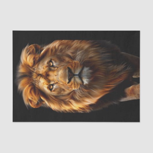 De nieuwe koning van het Oerwoud 1 Tissuepapier (Voorkant)