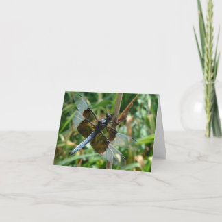 De nieuwe Mannelijke Libel van Notecard- van de Kaart