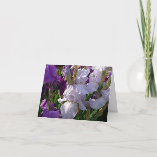 De nieuwe notecard-Iris van de Tuinen van de Dag Kaart (Voorkant)