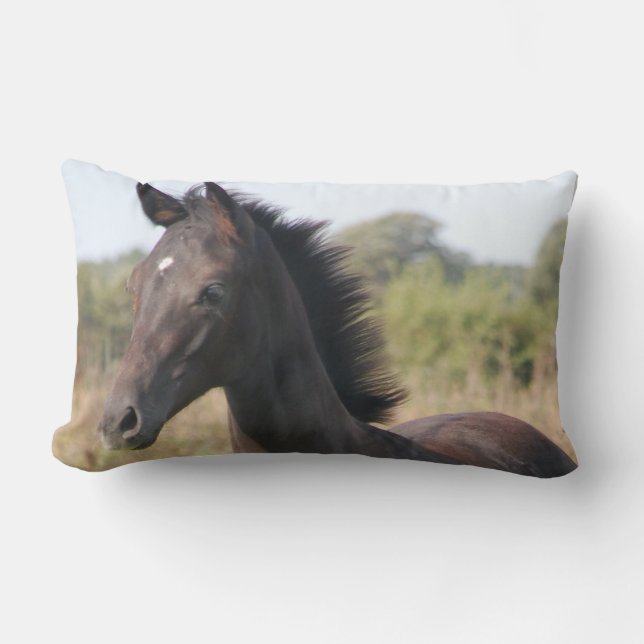 De nieuwe Pony Kussen (Voorkant)