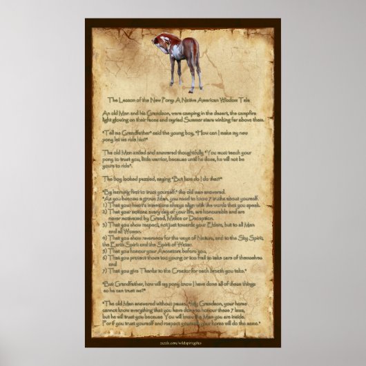 De nieuwe Pony-les: Native American Wisdom Poster (Voorkant)