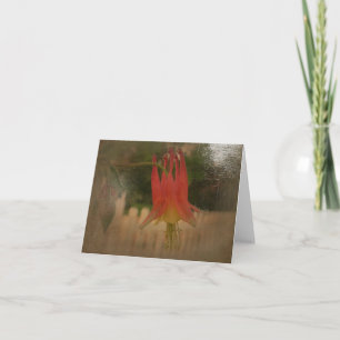 De nieuwe Tuinen Notecard van de Dag KUNNEN Akelei Kaart