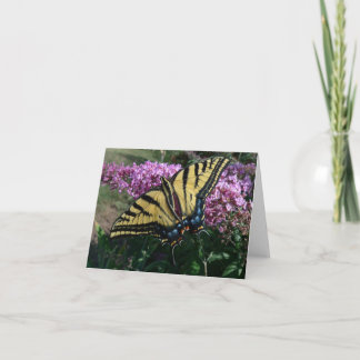De nieuwe Tuinen Notecard- Westerne Swallowtail Kaart