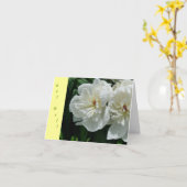 De nieuwe Tuinen van de Dag worden goed de Witte Kaart (Gele Bloem)