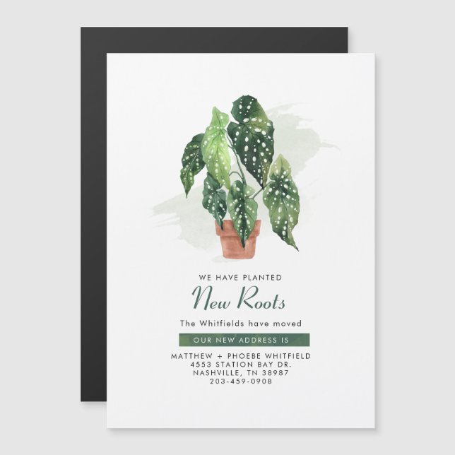 De nieuwe Verandering van de Roots van de Verplaat (Voorkant / Achterkant)