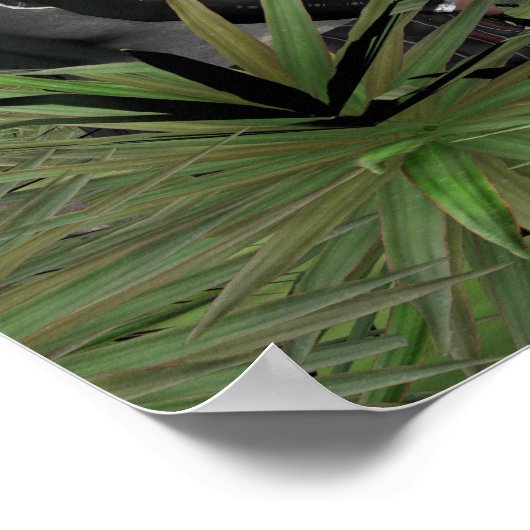 De nieuwe wereld - klein Poster (Hoek)