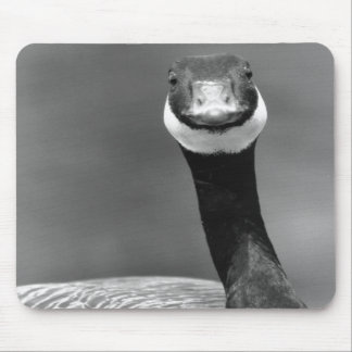 De nieuwsgierige Goose Mousepad Muismat
