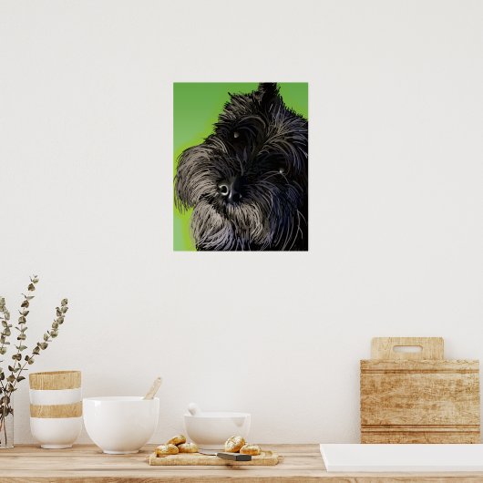 De nieuwsgierige Schnauzer Poster (Keuken)