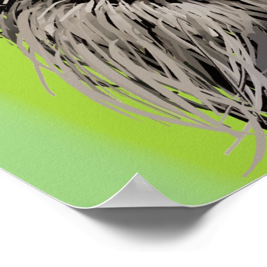 De nieuwsgierige Schnauzer Poster (Hoek)