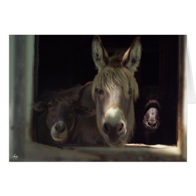 De nieuwsgierige trio (Voorkant Horizontaal)