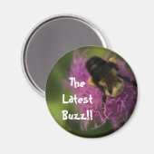 De nieuwste buzz!! magneet (Voorkant / Achterkant)