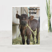 DE NIEUWSTE MOOS IS DAT JE ***50 *** KAART (Voorkant)