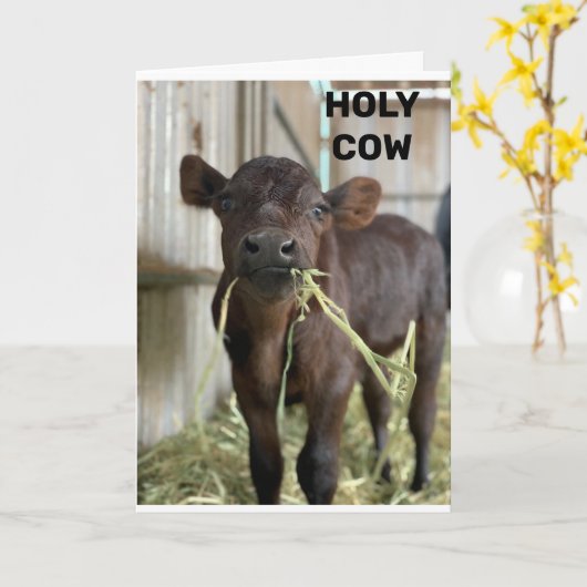 DE NIEUWSTE MOOS IS DAT JE ***50 *** KAART (Gele Bloem)