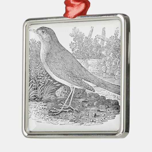 De Nightingale Metalen Ornament (Links)