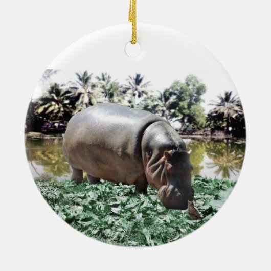 De nijlpaard & vogel keramisch ornament (Achterkant)