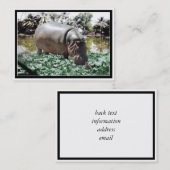 De nijlpaard & vogel visitekaartje (Voorkant / Achterkant)