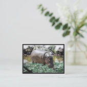 De nijlpaard & vogel visitekaartje (Staand voorkant)