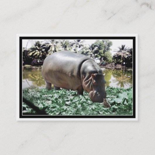 De nijlpaard & vogel visitekaartje (Voorkant)