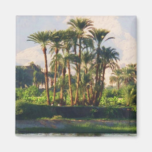 De Nijlrivier in Egypte, Luxor Magneet