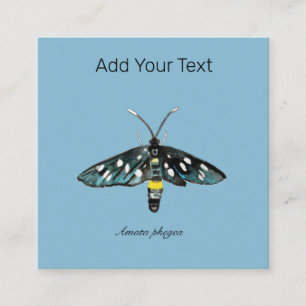 De Nine-Spotted Moth Amata phegea illustratie Informatiekaartje