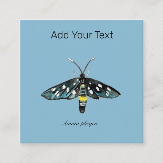 De Nine-Spotted Moth Amata phegea illustratie Informatiekaartje (Voorkant)