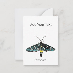 De Nine-Spotted Moth Amata phegea illustratie Notitiekaartje
