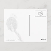De Noble Bald Eagle Briefkaart (Achterkant)