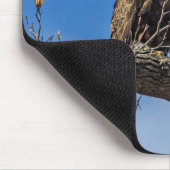 De Noble Bald Eagle Muismat (Hoek)