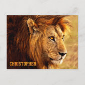 De Noble Lion-foto Briefkaart (Voorkant)