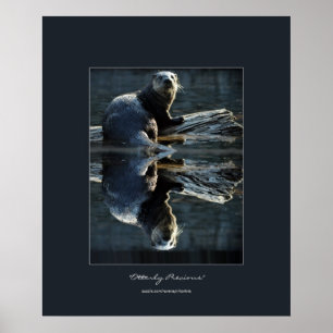 De Noord-Amerikaanse Otter op een Log Wildlife Fot Poster