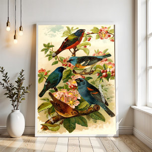 De Noord-Amerikaanse vogelwereld, Gustav ü tzel Poster