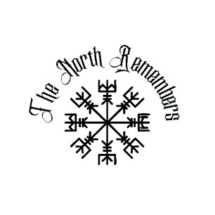 De Noord Herinnert Viking Vegvisir Kompas T-shirt