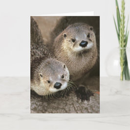 De Noordamerikaanse Otters van de Rivier Kaart