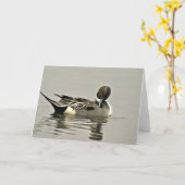 De noordelijke Eend van de Pijlstaart Kaart (Gele Bloem)