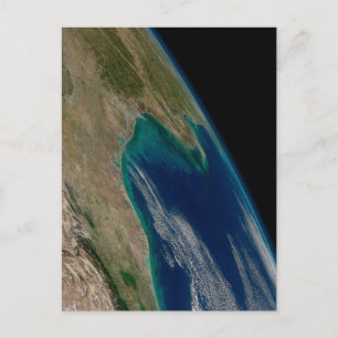 De noordelijke Golf van Mexico. Briefkaart