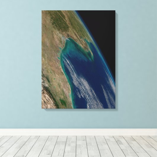 De noordelijke Golf van Mexico. Canvas Afdruk (Insitu (Houten vloer))