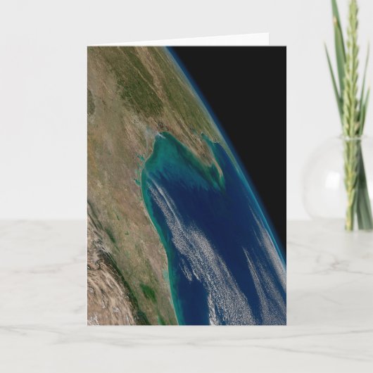 De noordelijke Golf van Mexico. Kaart (Voorkant)