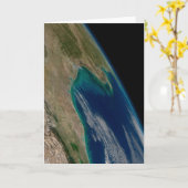 De noordelijke Golf van Mexico. Kaart (Gele Bloem)