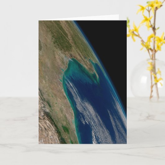 De noordelijke Golf van Mexico. Kaart (Gele Bloem)