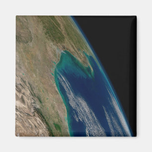 De noordelijke Golf van Mexico. Magneet