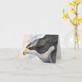 De noordelijke Goshawk Kaart van de Nota (Gele Bloem)