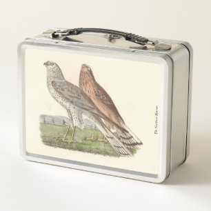 De Noordelijke Harrier (ringstaarthaai) NY Bird