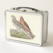 De Noordelijke Harrier (ringstaarthaai) NY Bird (Voorkant)