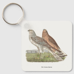 De Noordelijke Harrier (ringstaarthaai) NY Bird Sleutelhanger